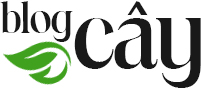 Mẫu web blog cây – Giao diện web đẹp