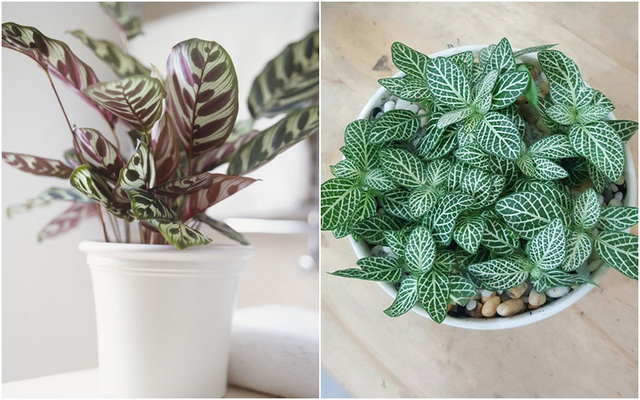 Page 161699455827335499294 0 0 500 800 crop 1616994562825249024371