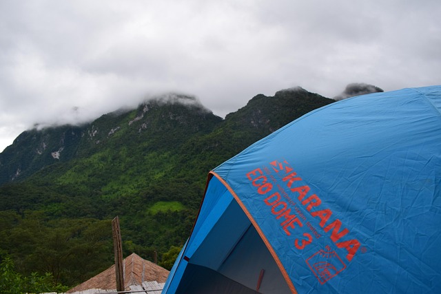 Gb5d27c5a6ae2a29f0c30aa77823cb5edbe25fbcbaa250bdbc35ed6fb15fa98542a2f459c5957bc85be7d57c191714def94011703b8eb21fa7d6b592dd44b012c 640